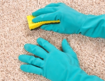 Saving Cash On Your Domestic Cleaning